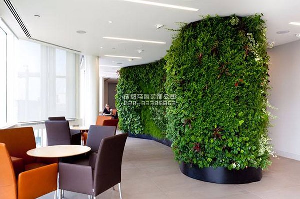 辦公室裝修完以后擺放什么綠植好？